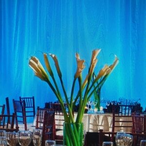 Meet your Posher, Patty